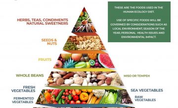 The Human Ecology Diet