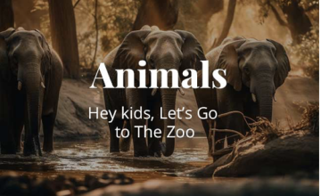 Animals - Hey kids, Let’s Go to The Zoo