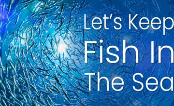 Let's Keep Fish In The Sea