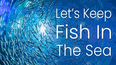 Lets-Keep-Fish-In-The-Sea-v2