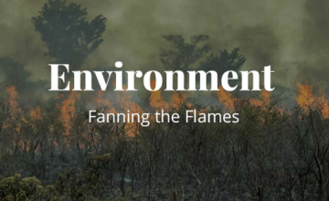 Environment - Fanning The Flames