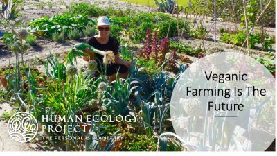 Veganic-Farming
