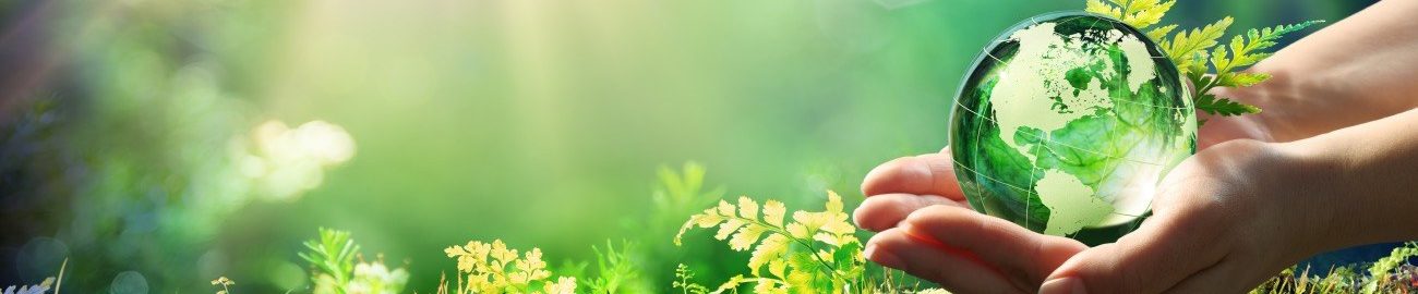 ecology-banner