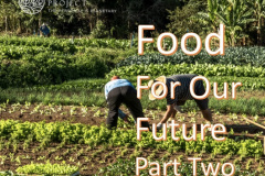 FOOD-FOR-FUTURE-SOIL-2