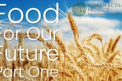 Food-for-our-future-part-one