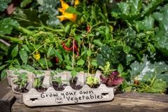 Grow-your-own-veg