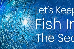 Lets-Keep-Fish-In-The-Sea-v2