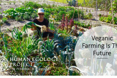 Veganic-Farming