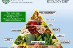 preview-full-Human-Ecology-Diet3