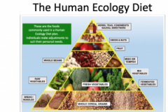 Human-Ecology-Diet-300x208