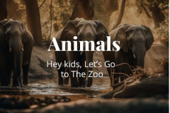 1_AnimalsElephants