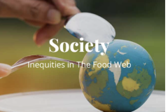 Society